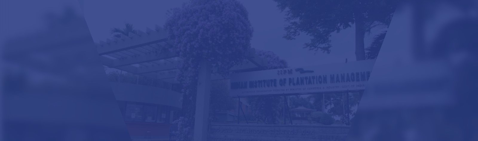 Indian Institute of Plantation Management