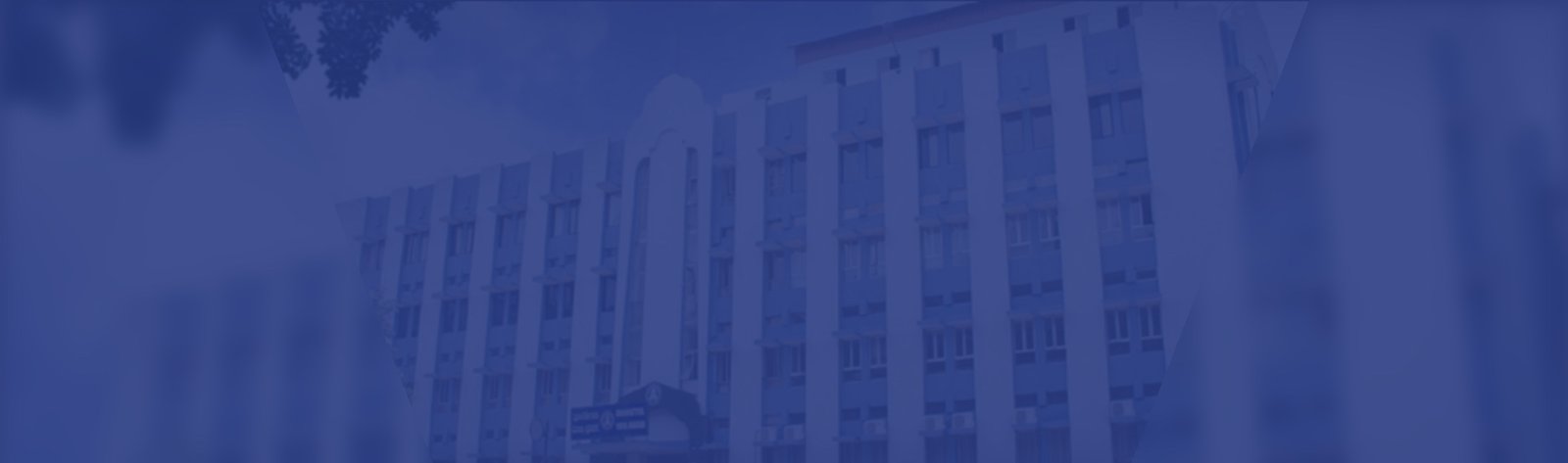 MP Birla Institute of Management